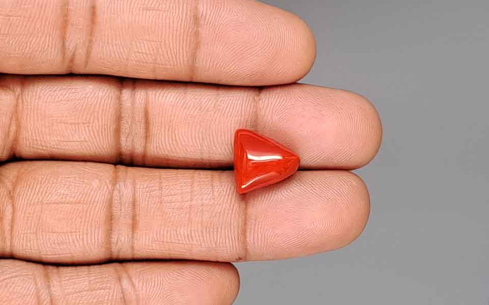 Red Coral - 6.83 Carat (7.55 Ratti - Moonga)