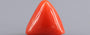 Italian Red Coral - 6.84 Carat Prime Quality TC-5424