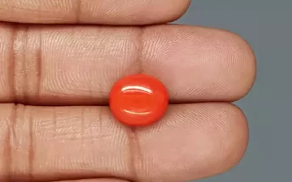 Red Coral - 6.67 Carat (7.37 Ratti - Moonga)