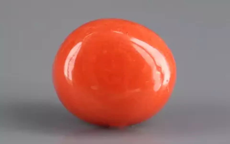 Red Coral - 6.67 Carat (7.37 Ratti - Moonga)