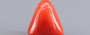 Red Coral - 6.87 Carat (7.59 Ratti - Moonga)