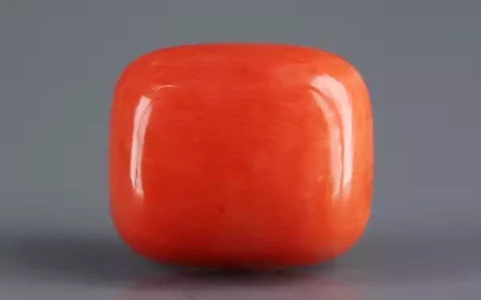 Red Coral - 6.98 Carat (7.71 Ratti - Moonga)
