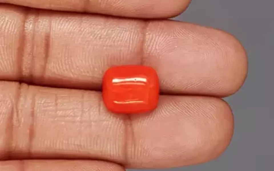 Red Coral - 6.98 Carat (7.71 Ratti - Moonga)