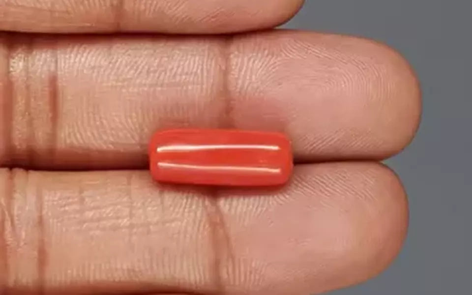 Red Coral - 7.04 Carat (7.78 Ratti - Moonga)