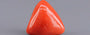 Red Coral - 7.06 Carat (7.80 Ratti - Moonga)