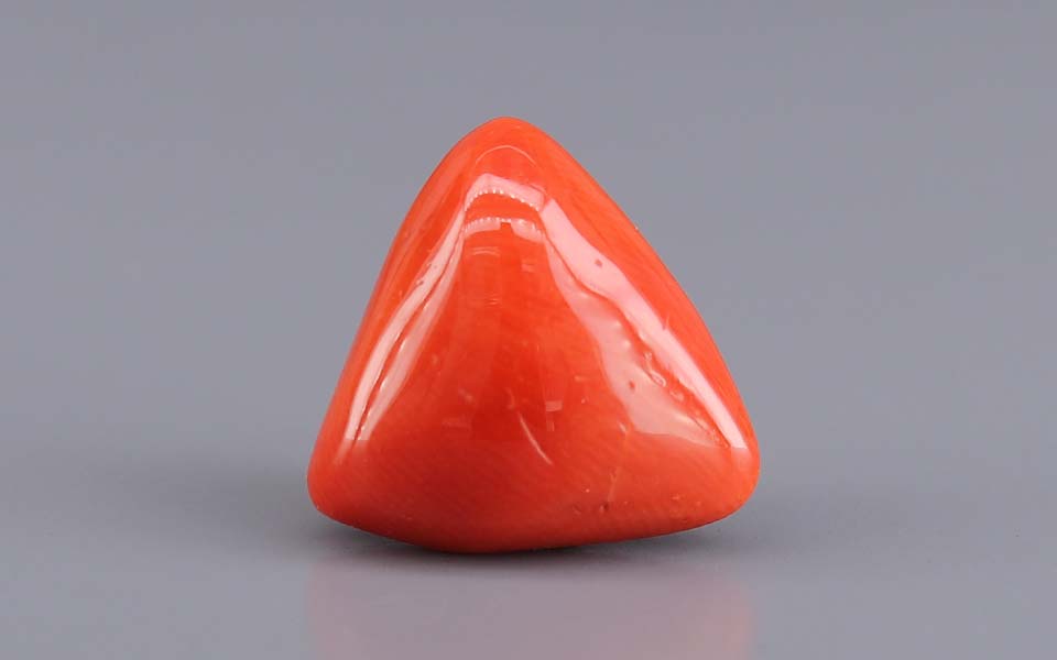 Red Coral - 7.06 Carat (7.80 Ratti - Moonga)