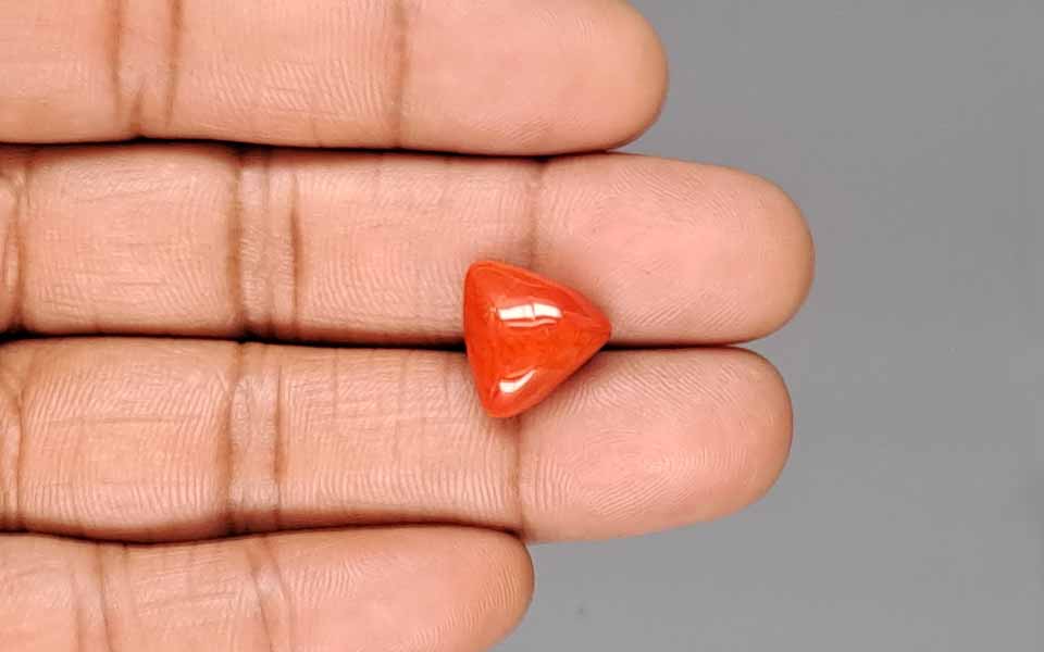 Red Coral - 7.06 Carat (7.80 Ratti - Moonga)