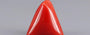 Red Coral - 7.08 Carat (7.82 Ratti - Moonga)