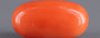 Red Coral - 7.14 Carat (7.89 Ratti - Moonga)