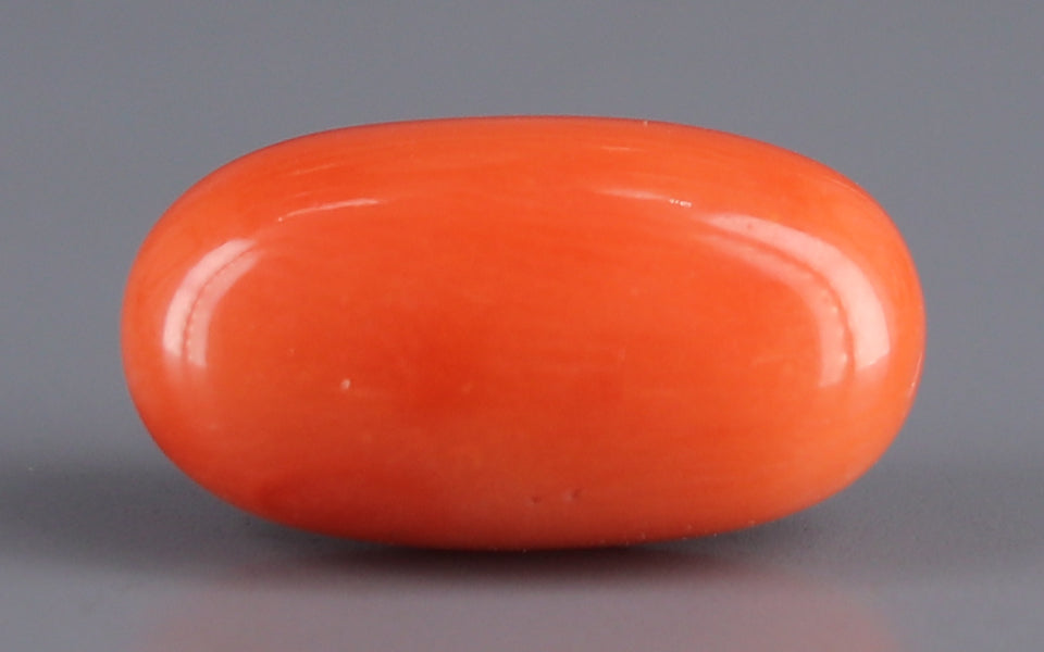 Red Coral - 7.14 Carat (7.89 Ratti - Moonga)