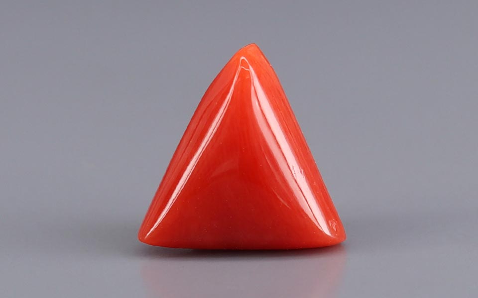Red Coral - 7.28 Carat (8.04 Ratti - Moonga)