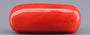 Italian Red Coral - 7.38 Carat Prime Quality CC-5920