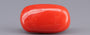 Italian Red Coral - 7.46 Carat Limited Quality CC-5917