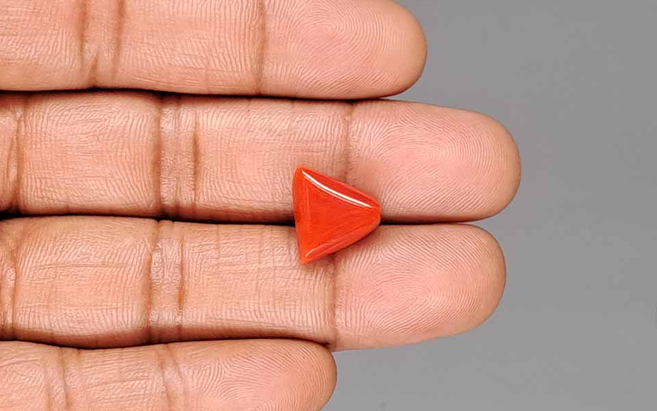 Red Coral - 7.47 Carat (8.25 Ratti - Moonga)