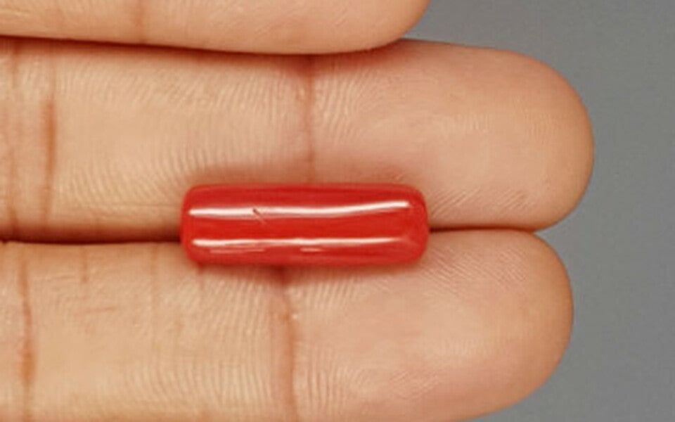 Italian Red Coral - 7.47 Carat Prime Quality CC-5780