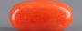 Red Coral - 7.48 Carat (8.27 Ratti - Moonga)