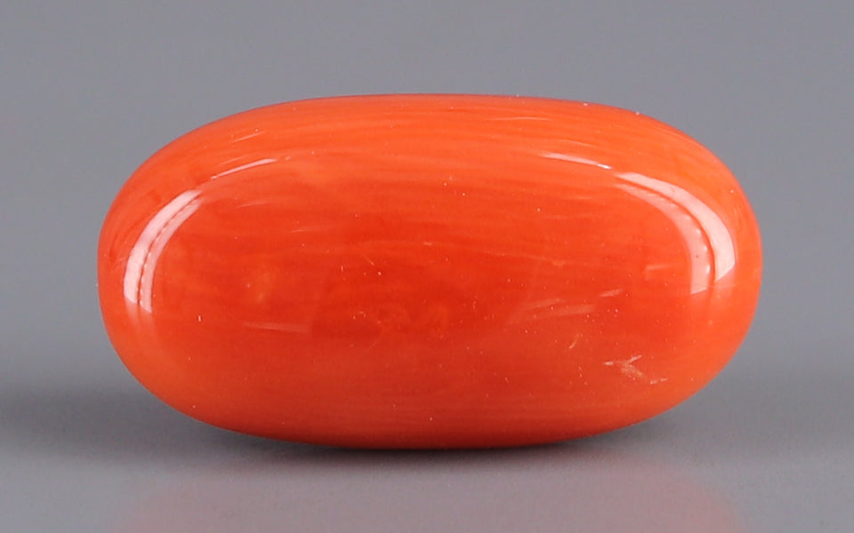 Red Coral - 7.48 Carat (8.27 Ratti - Moonga)