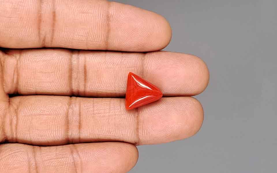 Italian Red Coral - 7.57 Carat Limited Quality TC-5456