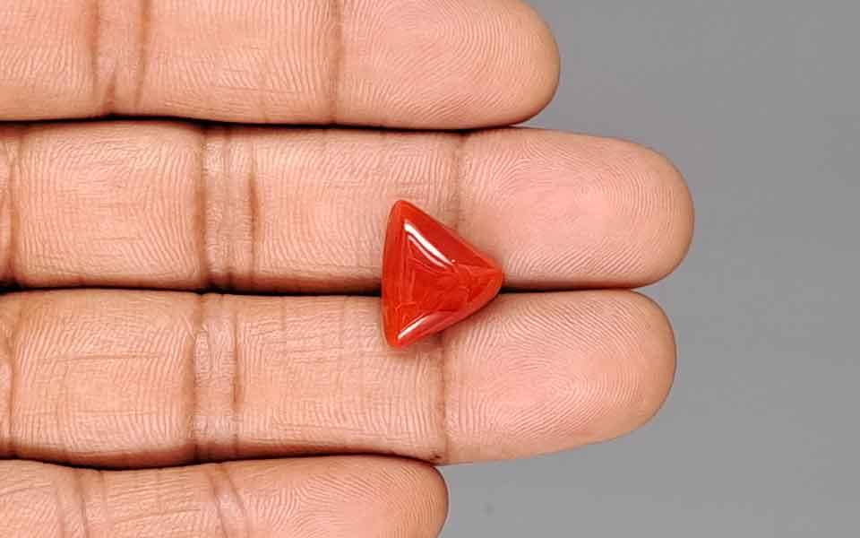 Italian Red Coral - 7.68 Carat Rare Quality TC-5413
