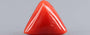 Italian Red Coral - 7.68 Carat Rare Quality TC-5413