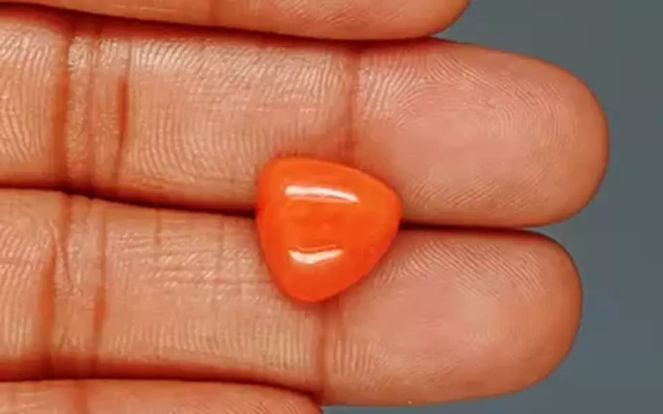 Italian Red Coral - 7.69 Carat Rare Quality TC-5391