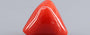 Red Coral - 7.73 Carat (8.54 Ratti - Moonga)