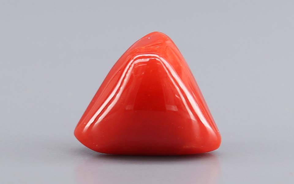 Red Coral - 7.73 Carat (8.54 Ratti - Moonga)