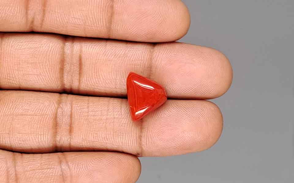 Red Coral - 7.73 Carat (8.54 Ratti - Moonga)