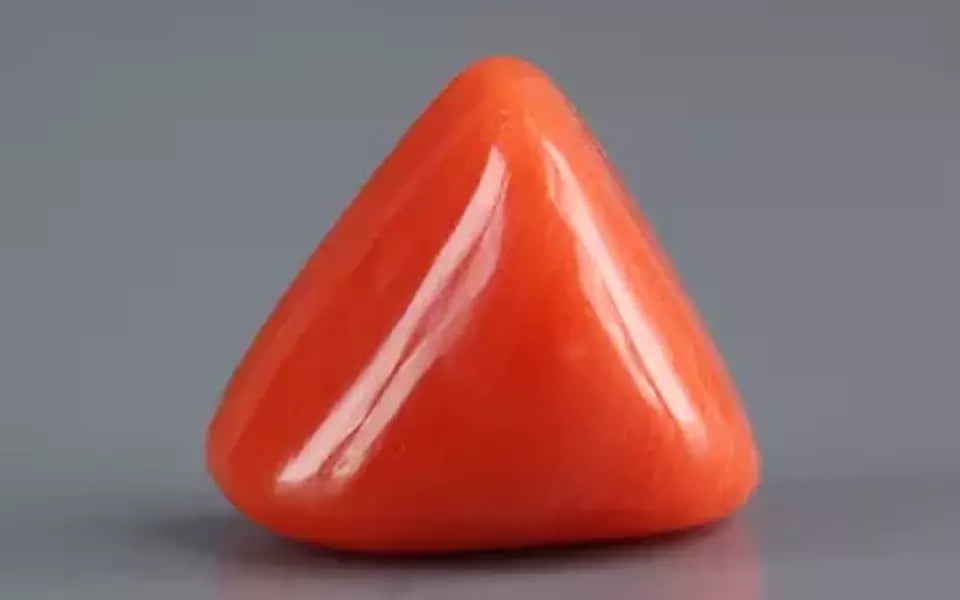 Italian Red Coral - 7.75 Carat Rare Quality TC-5386