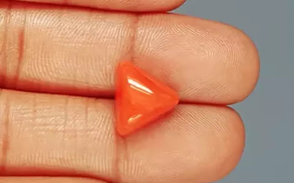 Italian Red Coral - 7.75 Carat Rare Quality TC-5386