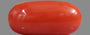 Red Coral - 7.80 Carat (8.62 Ratti - Moonga)