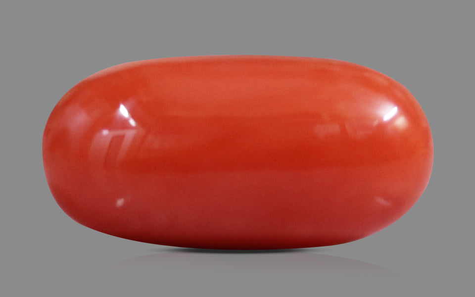 Red Coral - 7.80 Carat (8.62 Ratti - Moonga)
