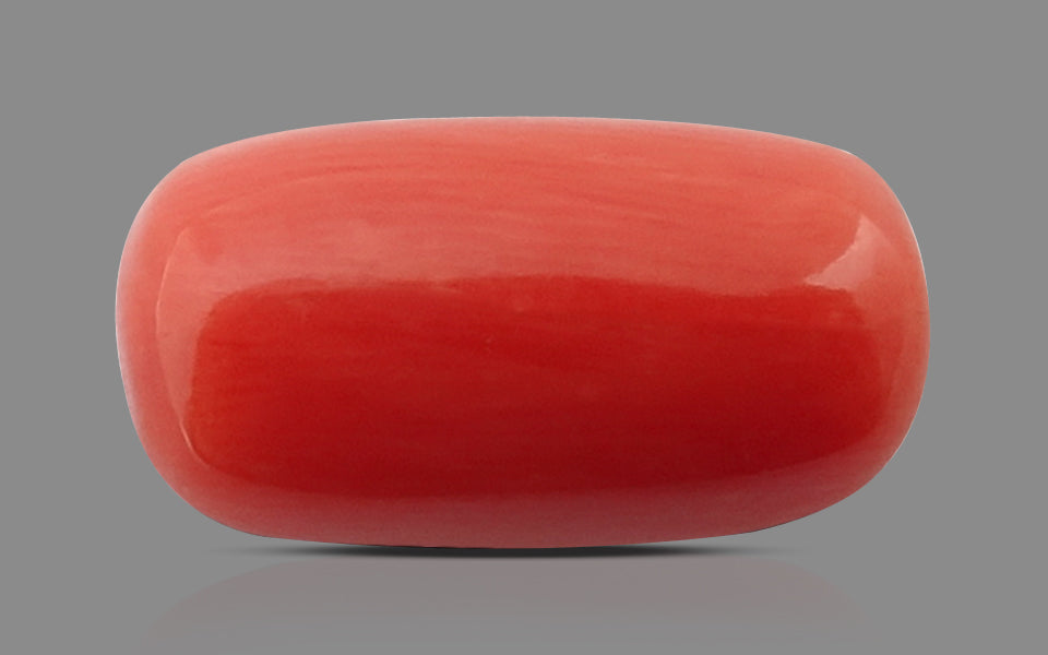 Red Coral - 7.90 Carat (8.73 Ratti - Moonga)