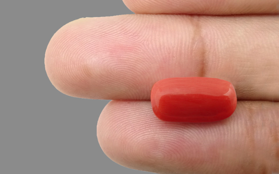 Red Coral - 7.90 Carat (8.73 Ratti - Moonga)