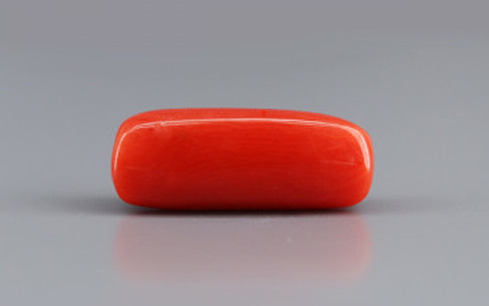 Red Coral - 8.03 Carat (8.87 Ratti - Moonga)