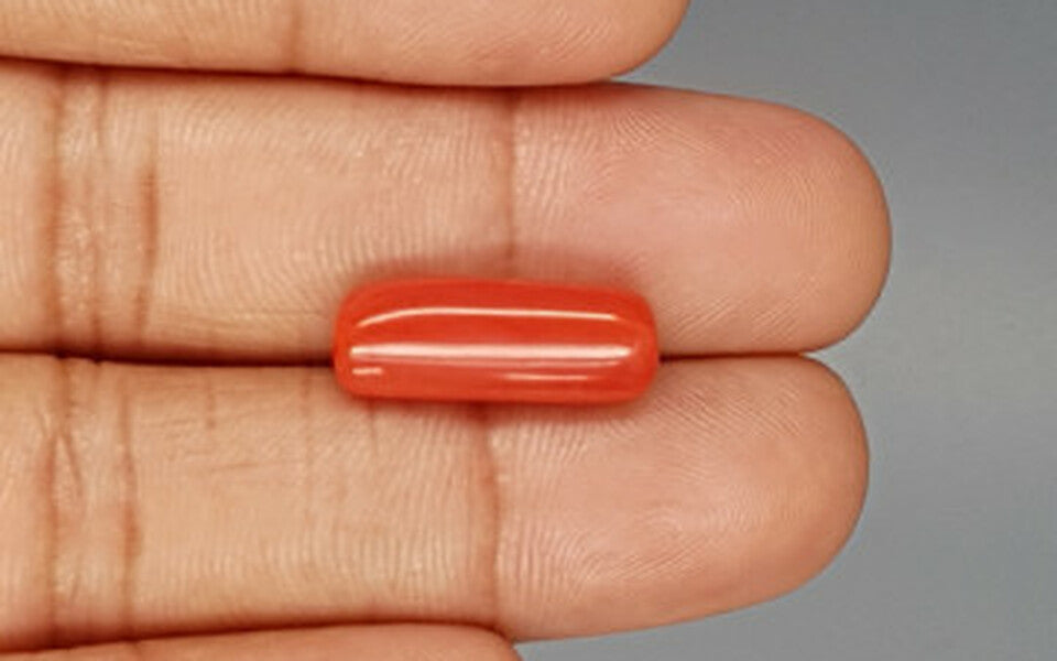 Red Coral - 8.03 Carat (8.87 Ratti - Moonga)