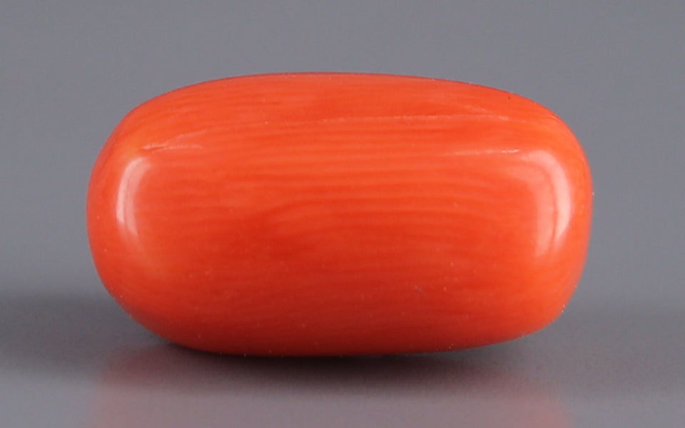 Italian Red Coral - 8.11 Carat Limited Quality CC-5506