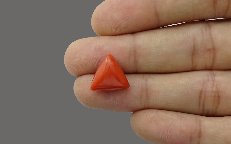 Red Coral - 8.12 Carat (8.97 Ratti - Moonga)