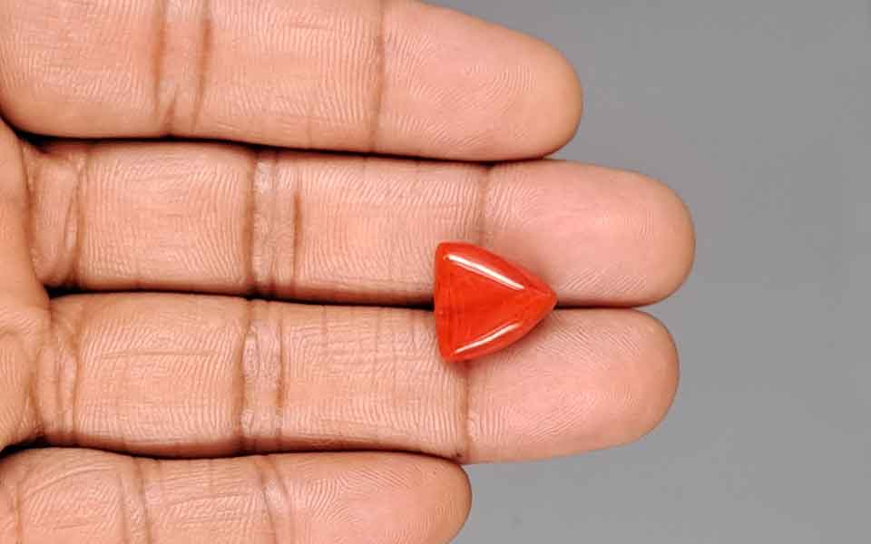 Red Coral - 8.15 Carat (9.01 Ratti - Moonga)