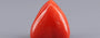 Red Coral - 8.15 Carat (9.01 Ratti - Moonga)