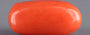 Red Coral - 8.17 Carat (9.03 Ratti - Moonga)