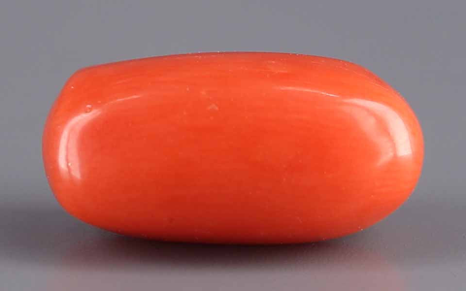 Red Coral - 8.17 Carat (9.03 Ratti - Moonga)