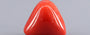 Red Coral - 8.17 Carat (9.03 Ratti - Moonga)