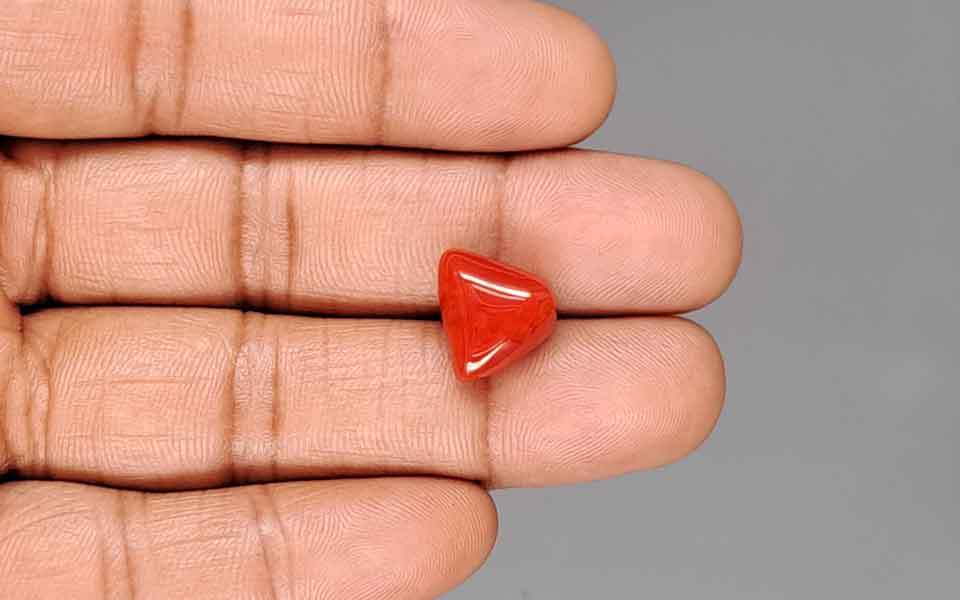 Red Coral - 8.17 Carat (9.03 Ratti - Moonga)