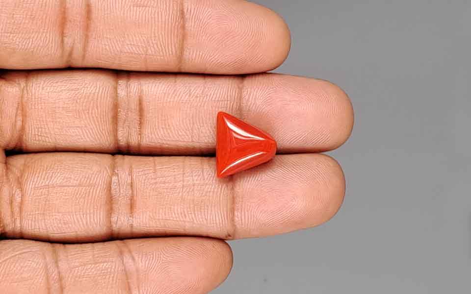 Red Coral - 8.19 Carat (9.05 Ratti - Moonga)