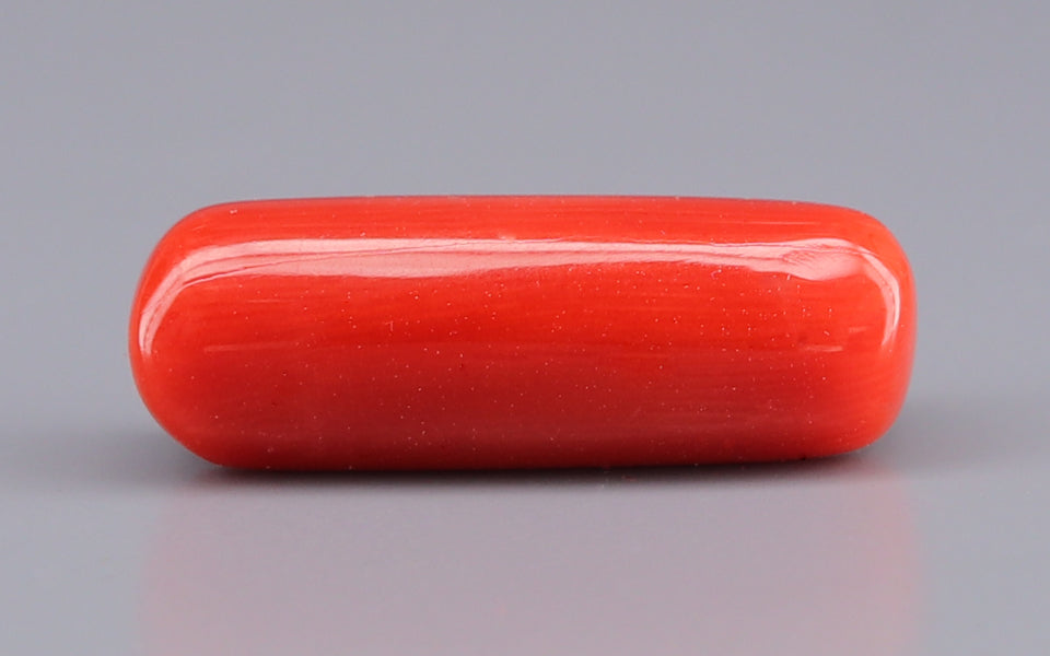 Red Coral - 8.19 Carat (9.05 Ratti - Moonga)