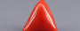 Red Coral - 8.21 Carat (9.07 Ratti - Moonga)