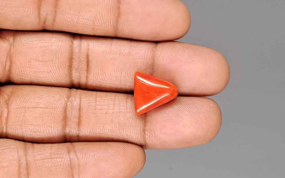 Red Coral - 8.27 Carat (9.14 Ratti - Moonga)