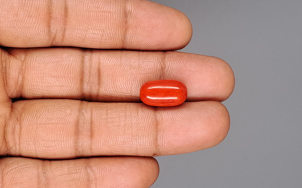 Red Coral - 8.31 Carat (9.18 Ratti - Moonga)