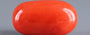 Red Coral - 8.31 Carat (9.18 Ratti - Moonga)